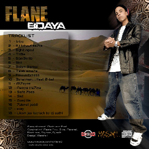 FLANE 2011